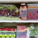 علت یخ زدن مواد غذایی در یخچال