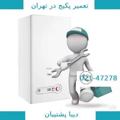 تعمیر جرقه زن پکیج بوتان
